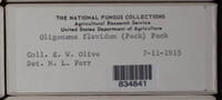 Image Associated With the Occurence